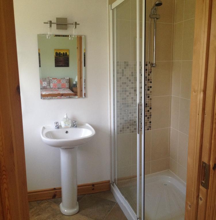 Amber B&B Ballyfarnon Pokoj fotografie